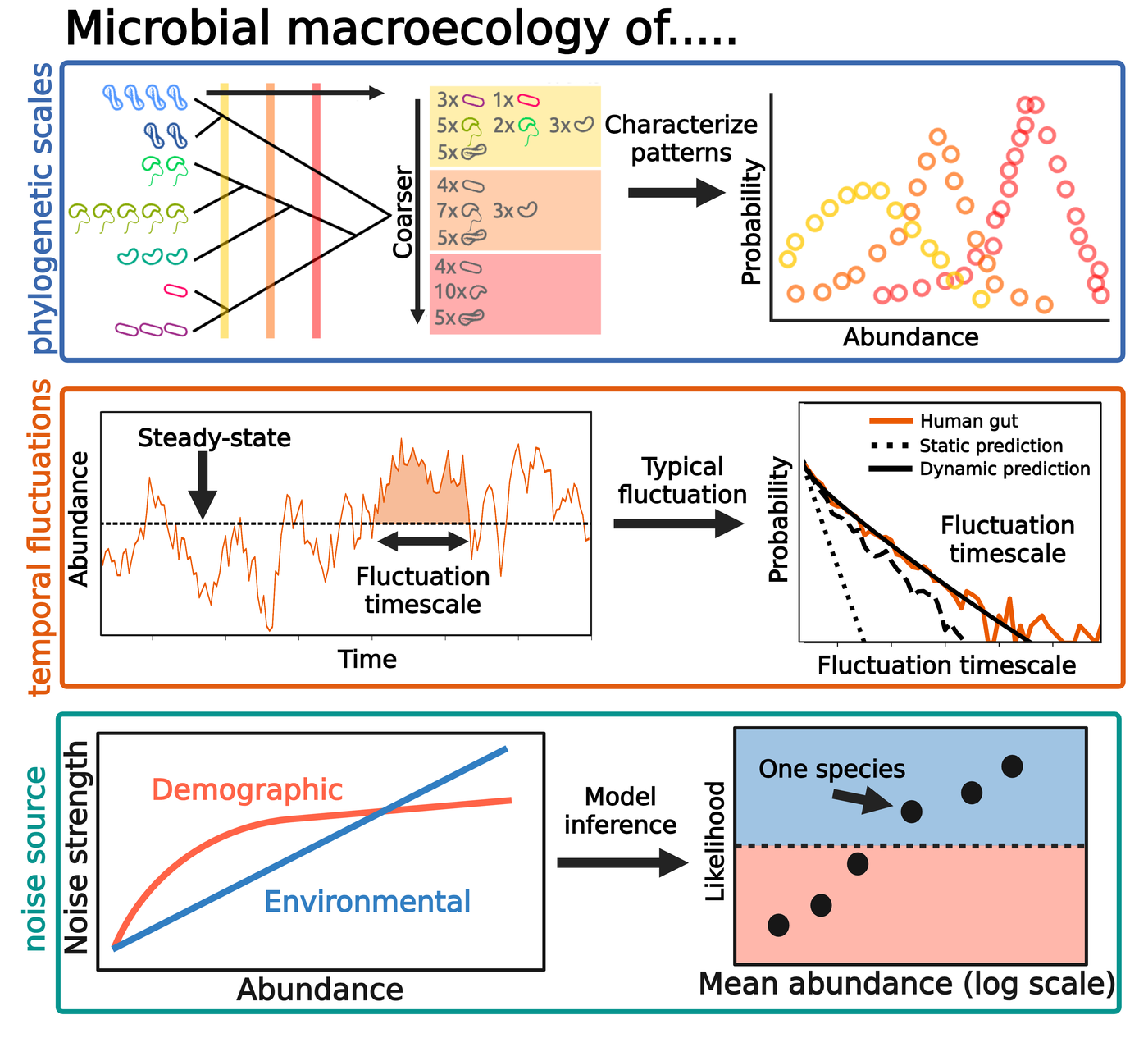 Three-panel schematic. Top: a phylogeny is cut at coarser and coarser scales, the taxa in each bin are counted, and the resulting abundance distributions are compared. Middle: an abundance time series fluctuating about a steady state, with the typical duration of an excursion measured and its distribution compared against static and dynamic predictions. Bottom: demographic and environmental noise scale differently with abundance, and model inference assigns each species to one or the other.